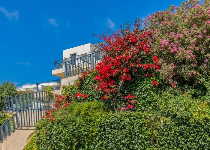 Apartment Les Terrasses D'erbalunga Erbalunga (Corsica)