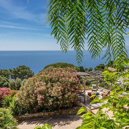 Les Terrasses D'erbalunga Apartment Erbalunga (Corsica)