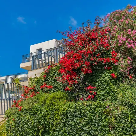 Apartment Les Terrasses D'erbalunga Erbalunga (Corsica)